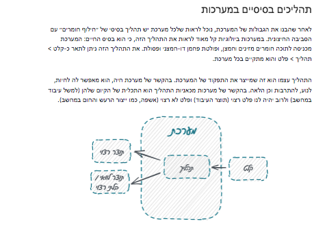 מדריך לחשיבה מערכתית 
תהליכים בסיסיים במערכות 